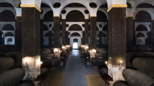 Visita guiada a Bodegas Barbadillo + degustación de vinos