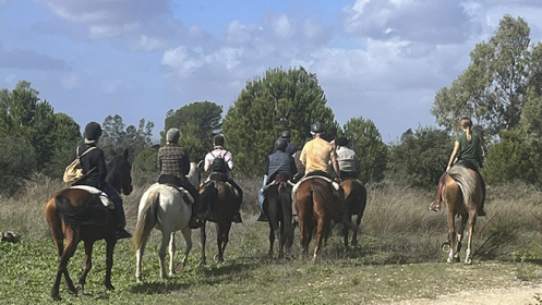 Paseo a caballo en familia